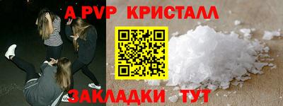 гашик Будённовск