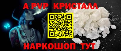 гашик Будённовск