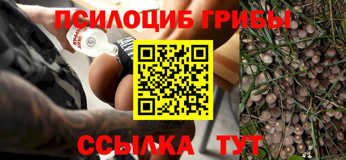 Псилоцибиновые грибы Psilocybine cubensis  Вход с VPN  Майский 